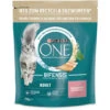 Purina One Bifensis Adult Reich An Lachs 750G -Care Haus Verkauf one adult reich an lachs und vollkorngetreide 750g